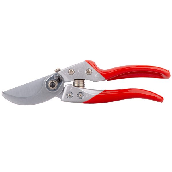 PS20 BUDAMA MAKASI PALMERA